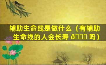 辅助生命线是做什么（有辅助生命线的人会长寿 🐛 吗）